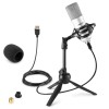CM300S Microfon de studio, condensator și filtru pop, USB, titaniu, Vonyx