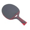 Paletă de tenis de masă, exterior, roșu, Joola Allweather
