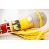 Microfon colorat cu fir Idance galben